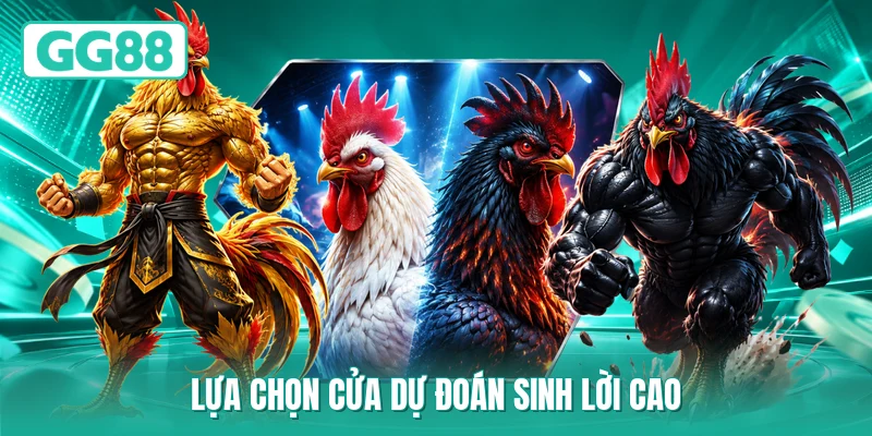 Lựa chọn cửa dự đoán sinh lời cao